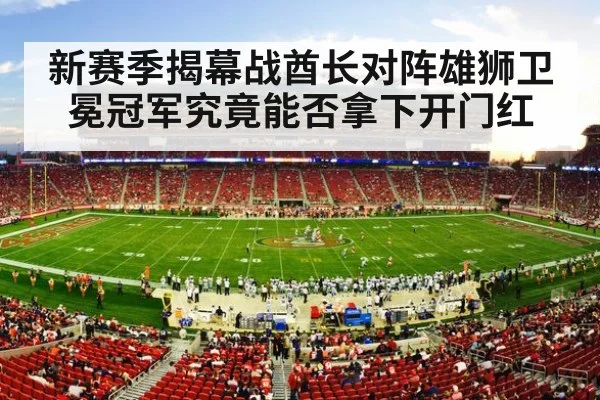 NFL stadium crowd