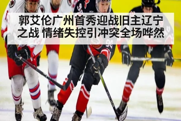 郭艾伦广州首秀迎战旧主辽宁之战 情绪失控引冲突全场哗然