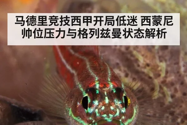 马德里竞技西甲开局低迷 西蒙尼帅位压力与格列兹曼状态解析