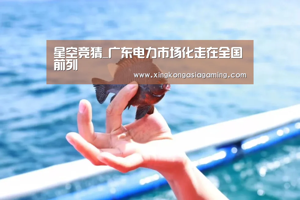 星空竞猜_广东电力市场化走在全国前列